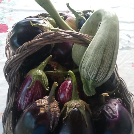 Agri Bertorella Cuneo Luaran gambar