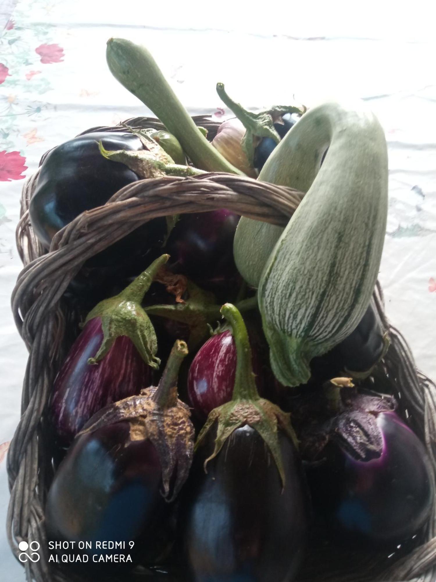 Agri Bertorella Cuneo Luaran gambar